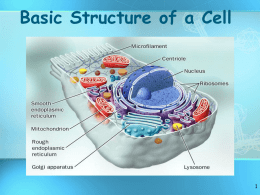 cell structure - Madison County Schools