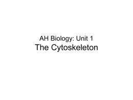 Unit 1 PPT 10 (2fi Cytoskeleton)