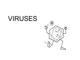 viruses - Lisle CUSD 202