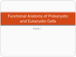 Functional Anatomy of Prokaryotic and Eukaryotic