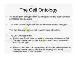 A_Diehl_Cell_Ontology_Workshop_Introduction