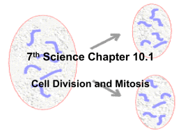 7th Science Chapter 10.1