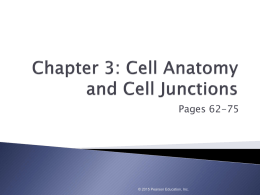 Ch 3 Parts of Cell-Junctions-Types pages 62-75