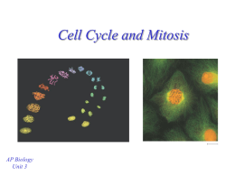 Cell Cycle and Mitosis - mvhs