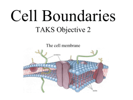 cell membrane - Fort Bend ISD