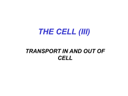 THE CELL (III)