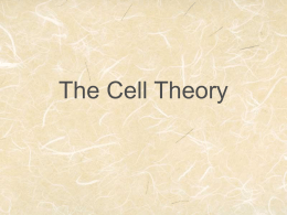 The Cell Theory - Mrs. Robert`s Biology Summer school