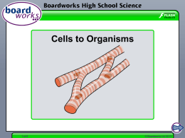 Cell to Organisms