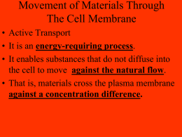 Cell Transport PowerPoint, page 2