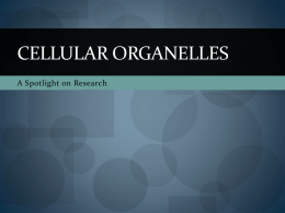 Cellular ORganelles