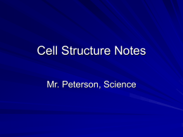Cell Structure Notes