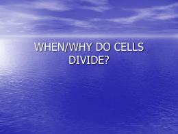WHEN/WHY DO CELLS DIVIDE?