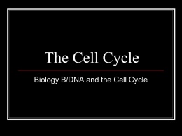 The Cell Cycle (2009).