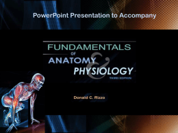 Fundamentals of Anatomy and Physiology, Second Edition