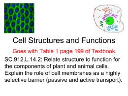 Cells - OCPS TeacherPress