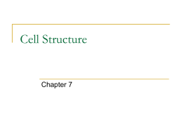 Cell Structure - walker2015