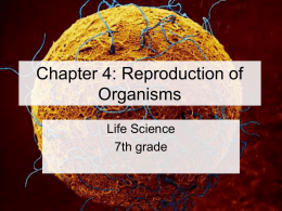 Chapter 4: Reproduction of Organisms