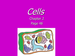Cells Notes