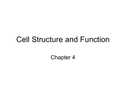Structure of Eukaryotic Cells