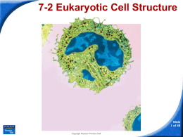 Foundations II Section 7.2 Cell Structure Guided Notes