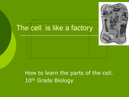 The cell is like a factory - Cal State LA