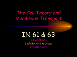 The Cell Theory and Membrane Transport