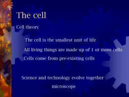 The cell - inetTeacher.com