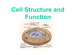 Cell structures and function PPT