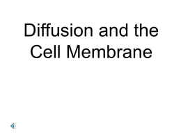 Notes - Diffusion and the Cell Membrane