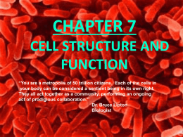 Unit 4 Cellular Biology Cell Structure PPT