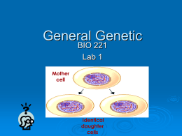 Genetic lab 1