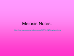 Meiosis Notes - Lamar County School District