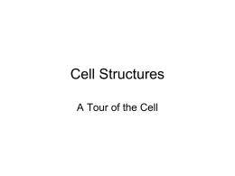 cell membrane - Petal School District