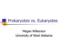 Prokaryotes_vs_Eukaryotes_PPP2