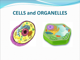 1-Cells-and-Organells