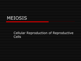 meiosis - My CCSD