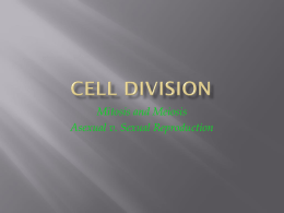 Cell dIVISION