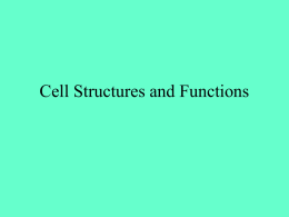 Cell Structures and Functions