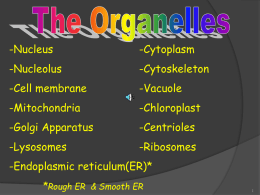 Notes for Organelles and Function