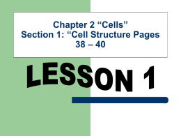 Chapter 2 “Cells” Section 1: “Cell Structure