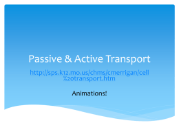 Passive & Active Transport