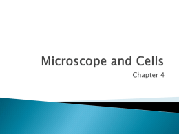 Microscope and Cells