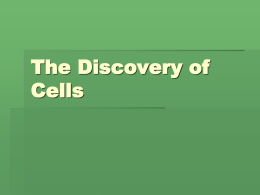 The Discovery of Cells
