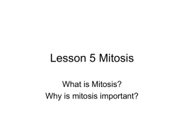 Mitosis Learned Want to Know Know