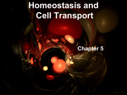 Homeostasis and Cell Transport