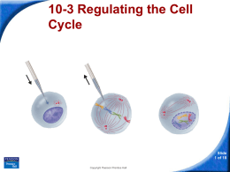 10-3 Regulating the Cell Cycle