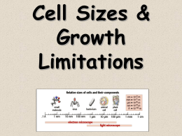 Cell Size Limitations Notes1