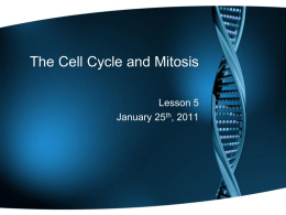The Cell Cycle (IPMAT)