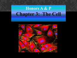 Chapter 3 Cells - McCarter Anatomy & Physiology