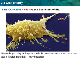 3.1 Cell Theory